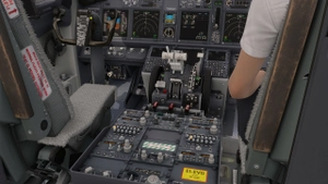 Ryanair [Collection] PMDG B737-800 thumbnail 6