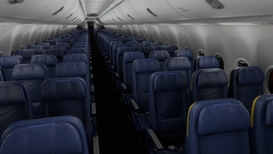 Ryanair [Collection] PMDG B737-800 thumbnail 10