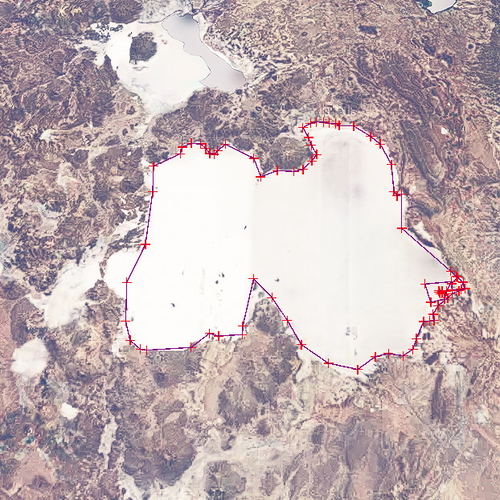 Salar De Uyuni Treefix