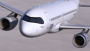 SAS [Fleet] w/Cabin - Fenix A319 thumbnail 8