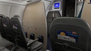 SAS [Fleet] w/Cabin - Fenix A319 thumbnail 4