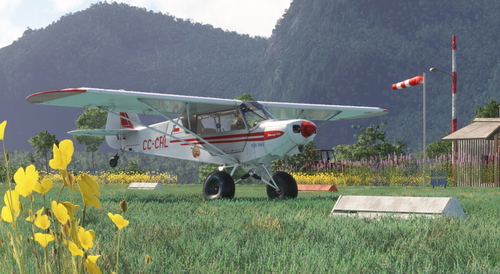 Savage Carbon - STOL Chile/CC-CHL (Fictional)