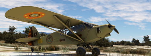 Savage Cub Keetoowah N221AZ v3.0