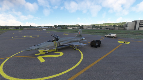SC Designs F-5E Tiger II Swiss Air Force J-3036 grey and special tail variant
