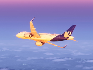 Scandinavian Airlines (SE-ROH) w/Cabin for MSFS2024 | Inibuilds A320NEO thumbnail 8