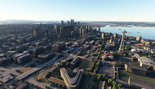 Seattle no tree