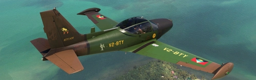 Siai-Marchetti SF260 green-brown V2-BTY