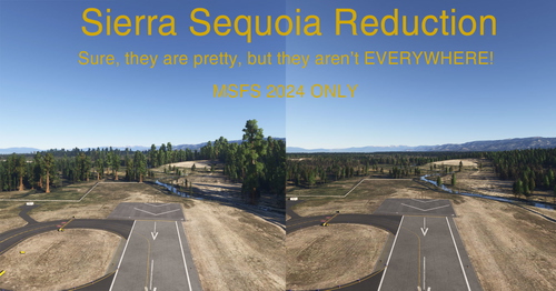 Sierra Sequoia Reduction MSFS 2024