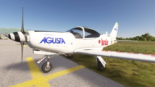 Sim Skunk Works SF-260 Alpi Eagles "last display"