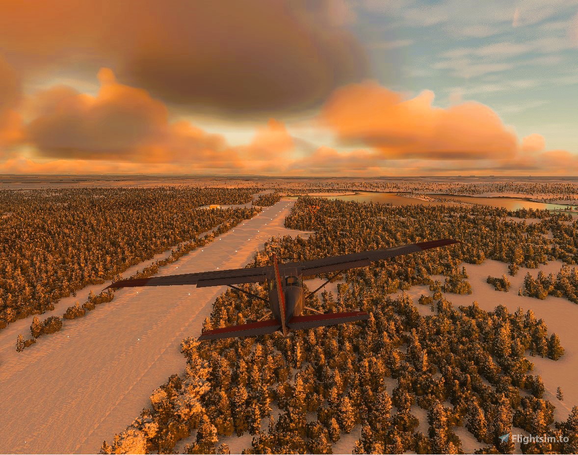Skwentna Airport (PASW) for Microsoft Flight Simulator MSFS