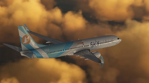 Skywalk Virtual Airlines | PMDG - Boeing 737-900ER  TC-MIY| ' ERZURUM 'Livery 8K TEXTURE
