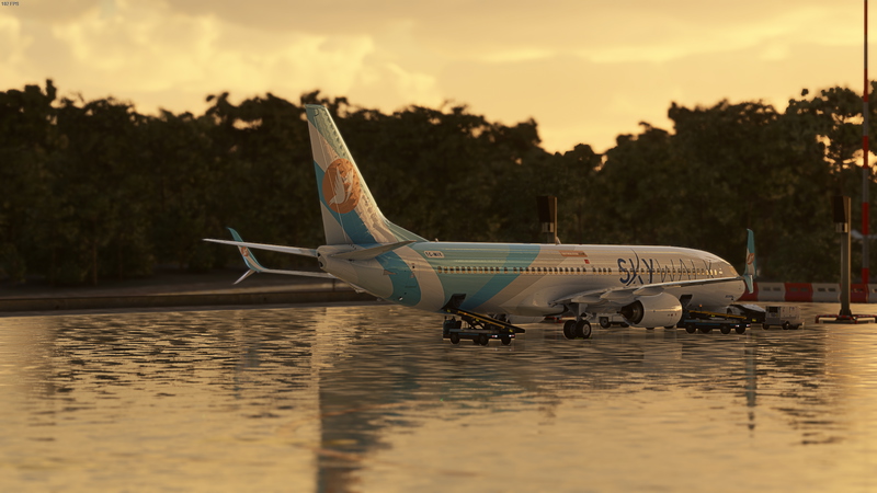 Skywalk Virtual Airlines | PMDG - Boeing 737-900ER TC-MIY| ' ERZURUM ...