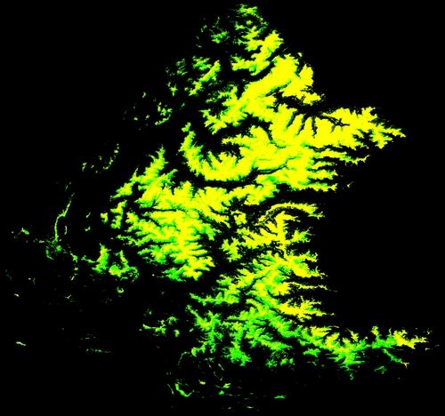 Southern Alps vegetation enhancement