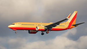 Southwest Airlines "Herbert D. Kelleher" w/Cabin | iFly 737 MAX 8 thumbnail 3