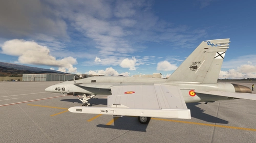 Spanish Air Force F/A-18E Twin Pack