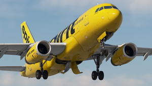 Spirit Airlines | Pack | w/Cabin | Fenix A319 (8K + 4K) thumbnail 5