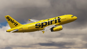 Spirit Airlines | Pack | w/Cabin | Fenix A319 (8K + 4K) thumbnail 7