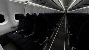 Spirit Airlines | Pack | w/Cabin | Fenix A319 (8K + 4K) thumbnail 10