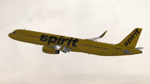 Spirit Airlines | Pack | w/Cabin | Fenix A321SL thumbnail 2