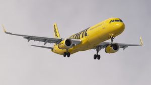 Spirit Airlines | Pack | w/Cabin | Fenix A321SL thumbnail 4