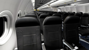 Spirit Airlines | Pack | w/Cabin | Fenix A321SL thumbnail 11