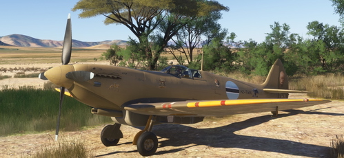 Spitfire Mk IXc "Tswana" A2-TWN  beige v2