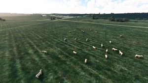 Stonehenge and Woodhenge thumbnail 14