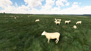 Stonehenge and Woodhenge thumbnail 10