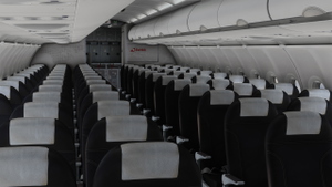 Swiss [Package] w/Cabin Fenixsim A321 Sharklet [8K+4K] thumbnail 6