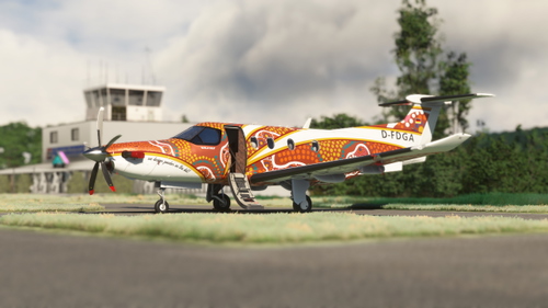 SWS PC-12 D-FDGA