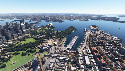 Sydney  Australia  no tree