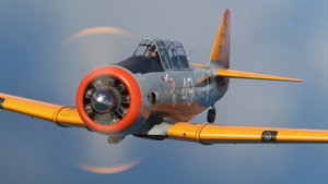 T-6G Texan 'Popeye' (N29931) thumbnail 5
