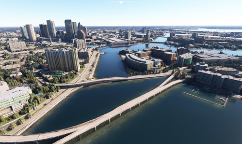 Tampa Florida no tree