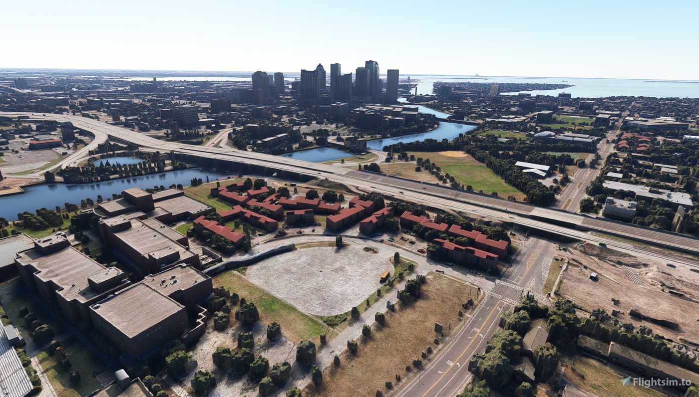 Tampa Florida no tree for Microsoft Flight Simulator MSFS