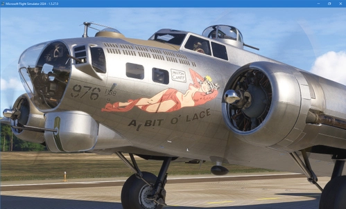 Temporary Camera Fix - Microprose B17