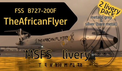 The African Flyer B727-200F (metalic) - livery