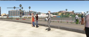 TNCM Beach Improvement thumbnail 4