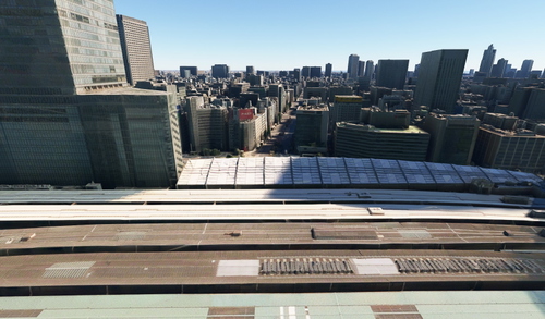 Tokyo  Japan  no tree