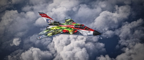 Luftwaffe (50th years First Flight) | Tornado IDS - IndiaFoxtEcho