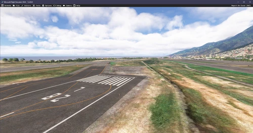 Trees Fix / Removal / Enhancement for PKSIM SVMI Maiquetia Simon Bolivar Intl