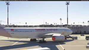 Tunisair  TS-IFM/TS-IFN with &  without stickers for Inibuilds A330-200RR (with cabin details) thumbnail 19