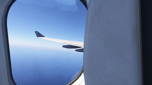 Tunisair  TS-IFM/TS-IFN with &  without stickers for Inibuilds A330-200RR (with cabin details) thumbnail 26