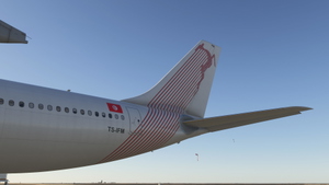 Tunisair  TS-IFM/TS-IFN with &  without stickers for Inibuilds A330-200RR (with cabin details) thumbnail 14