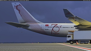 Tunisair  TS-IFM/TS-IFN with &  without stickers for Inibuilds A330-200RR (with cabin details) thumbnail 8