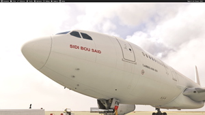 Tunisair  TS-IFM/TS-IFN with &  without stickers for Inibuilds A330-200RR (with cabin details) thumbnail 5