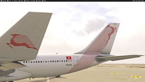 Tunisair  TS-IFM/TS-IFN with &  without stickers for Inibuilds A330-200RR (with cabin details) thumbnail 6