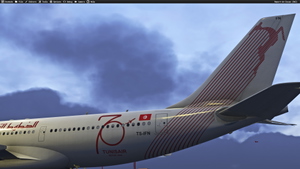 Tunisair  TS-IFM/TS-IFN with &  without stickers for Inibuilds A330-200RR (with cabin details) thumbnail 2
