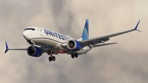 United Airlines [Pack] w/Cabin | iFly 737 MAX 8 thumbnail 3