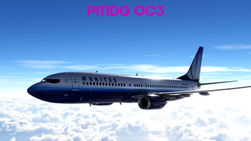United "Tulip" PMDG 737-800SSW