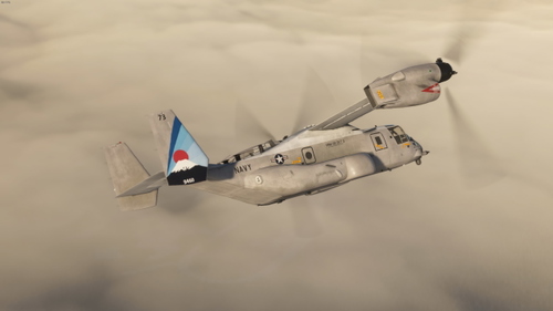 US Navy VRM-30 | CMV-22B 169460 & 169446